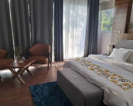 Royal Willow Hotels in Mandi District