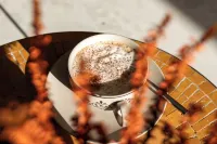 HOOD Hotels in Cologny