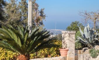 Villa Don Sante In Locorotondo