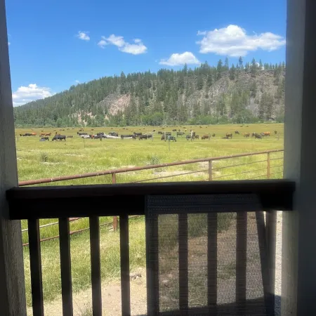 Cozy Cabin on working cattle ranch, close drive to Crater Lake, peaceful, quiet