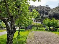 Ideal for a family of 5. Hotels in Saumane