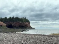 Tide’s Edge Escape: Cozy 2-Bed Cottage/Camper with Sea Views