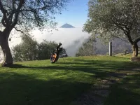 Villa surrounded by nature near Padua and Venice, breathtaking views, animals