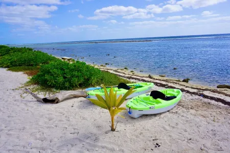 Awesome Sea Views! Secluded Beach Отели в г. Малый Кайман