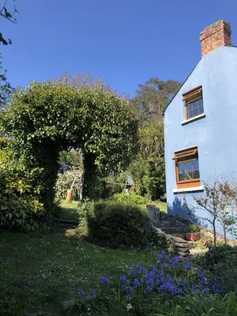 Rose Cottage, dog friendly, Appledore