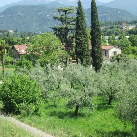 Apartment for couples with garden - 10 min from the lake!