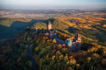 The gingerbread house
