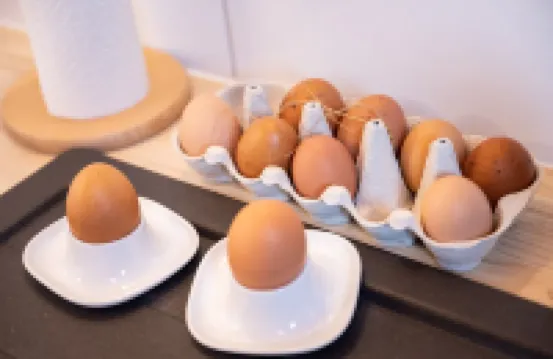 Apartment Klagenfurt Landhaus Wulfenia - Free Parking, Sauna, Air Conditioning