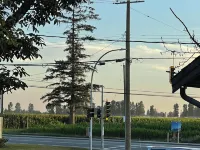 Cozy , spacious and comfortable house. Pet friendly! And close to everything!!! Hotels in Chilliwack