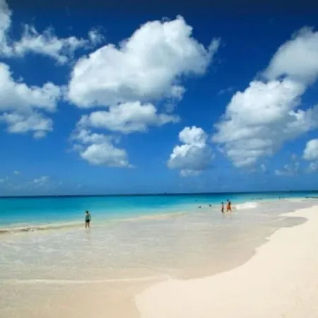 Relaxing, Amazing beach, pool, Cheap cars, quiet area, surfers paradise 3