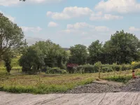 Hogan's Cottage Hotels in Doolin