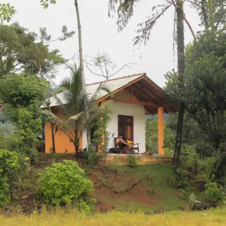 Forest & Fields Sinharaja