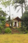 Forest & Fields Sinharaja