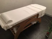 伊爾維妮託公園酒店 - SPA