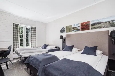 Frich's Hotell og Spiseri Alvdal Các khách sạn ở 