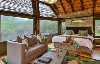 Shamwari Bayethe Hotels in Paterson