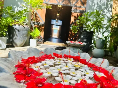 塔普羅班亭水療度假村