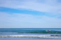 La Jolla Shores Hotel - Beach