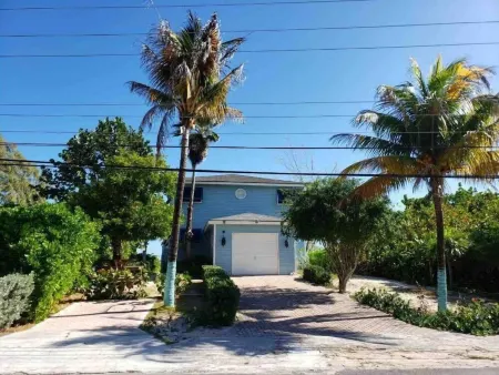 Henry Louise & The Parrot