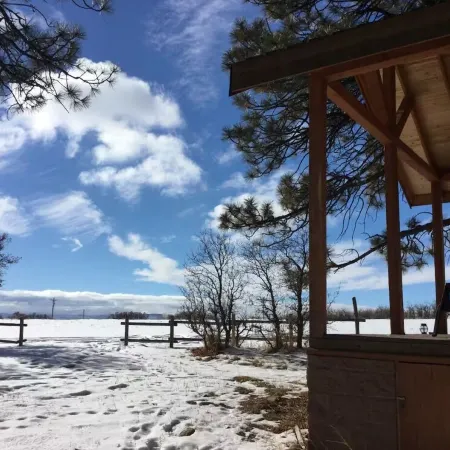 Serene Cabin Retreat