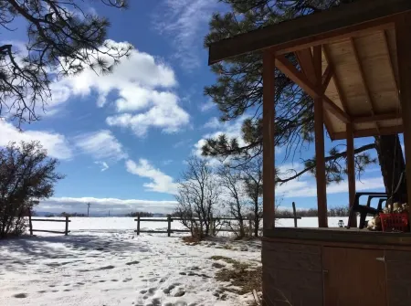 Serene Cabin Retreat