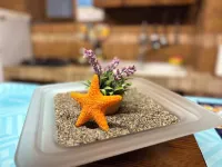 Monolocale Fronte Mare, 5m da Spiaggia Pubblica o Lido Attrezzato