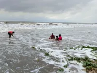 Kamala Homestay, Mandarmoni