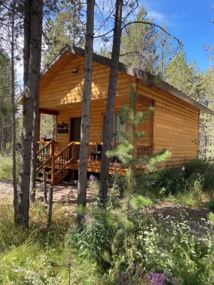 Mini Moose-28 Miles to Yellowstone-Owner Operated