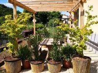 Apartment at Guido's 보르소 델 그라파 호텔