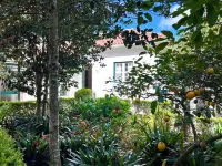 Villa Inn Sintra | Private Garden Retreat