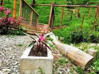 Villa Guatapé, swimming pool and private Jacuzzi. Medellin