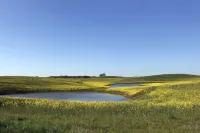 Pure tranquillity: vacation apartment close to nature in Unkengrund Hotels in Nordwestuckermark