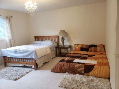 A semi detached 3 bedroom house