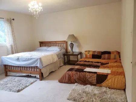 A semi detached 3 bedroom house