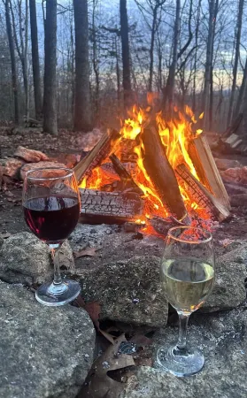 Secluded Cabin Retreat nestled amidst the breathtaking Shenandoah National Park