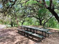 Beautiful Secluded Cabin in the Woods - Second Wind Ranch