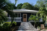 This Must Be the Place