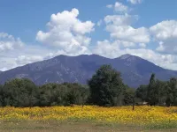 Rural appeal yet so close to town