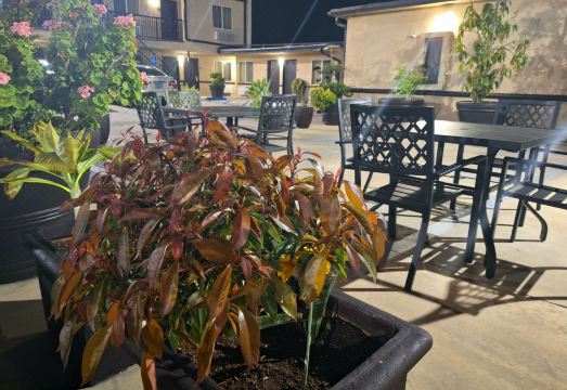 버뱅크 주변 환경