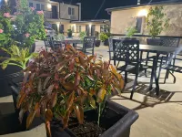 Portofino Inn Burbank Hotel a Burbank