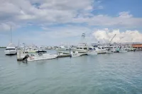 St Augustine Studio - Walk to Marina and Downtown - سبا