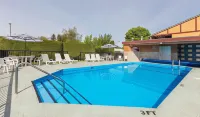 Oasis Inn - Pools