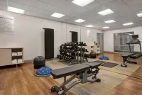 Holiday Inn Express & Suites MILWAUKEE - BROOKFIELD by IHG - Gym