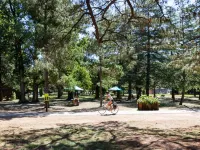 Convenient Braddon Studio with Parking