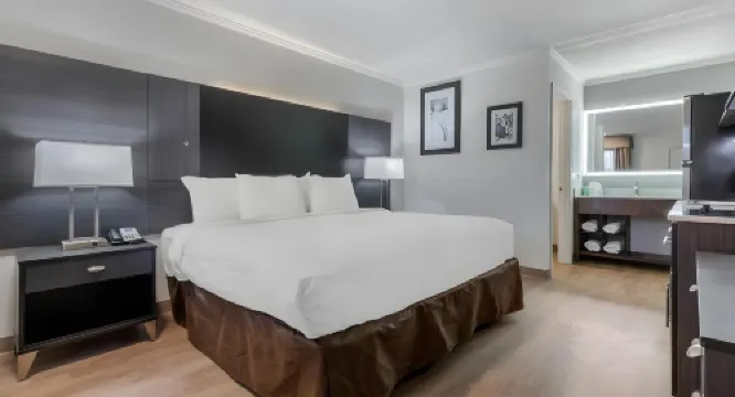 ซับเบิร์บบัน สตูดิโอ ที่มหาวิทยาลัย