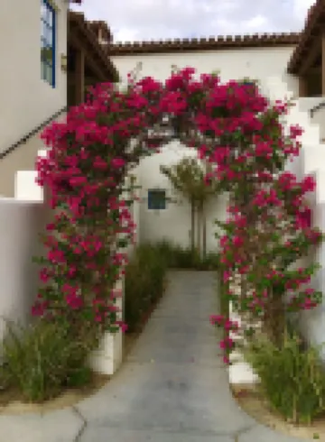 065127 3BR STUNNING Ground Floor Resort Villa w/Mt Views, Pool steps away