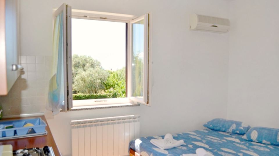 Apartment with terrace and garden access