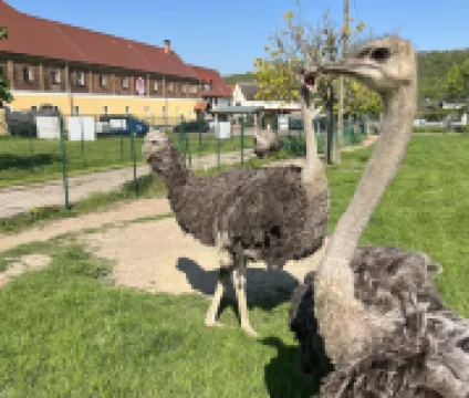 Hotel Sonnekalb