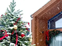 Suzdal Villa Private house Hotels in Suzdal