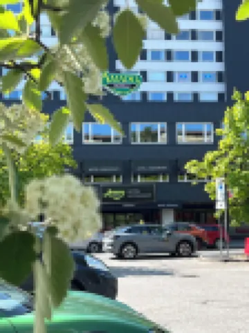 Hotel Amado Hotels in 